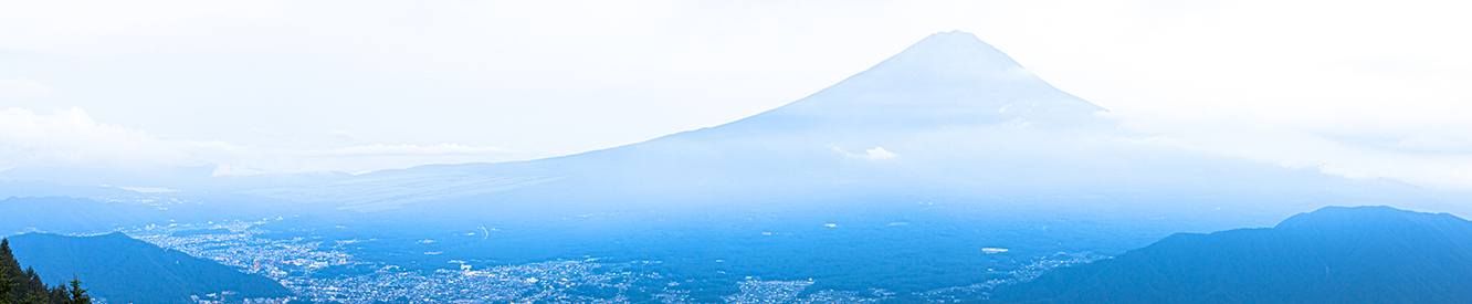 法人向けサービス